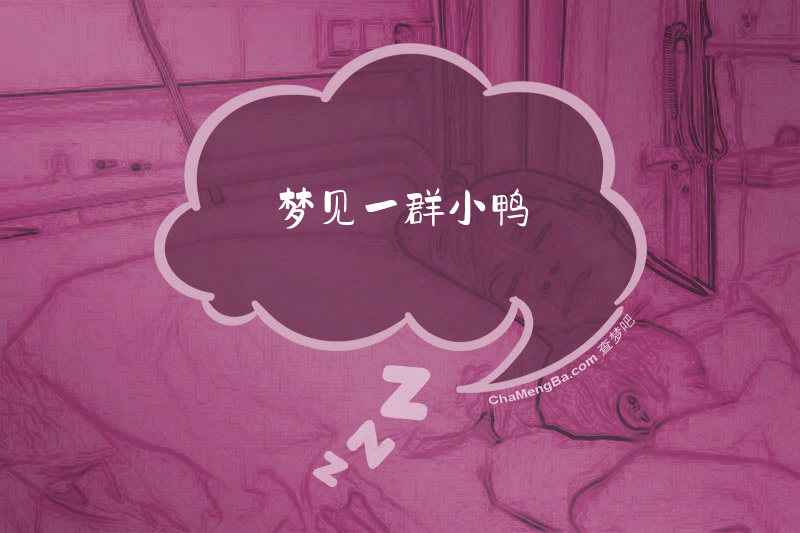 梦见一群小鸭