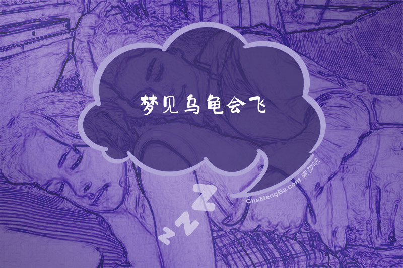 梦见乌龟会飞