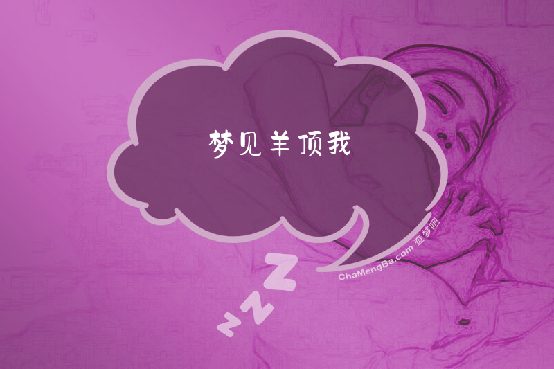 梦见羊顶我