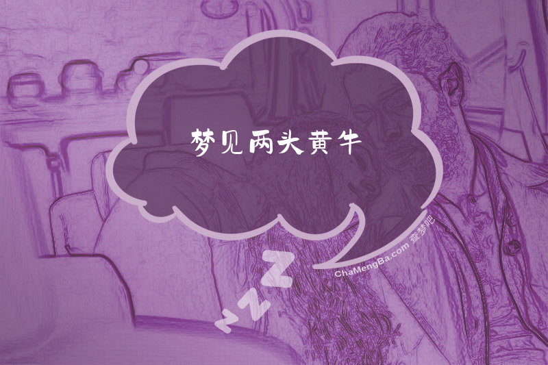 梦见两头黄牛