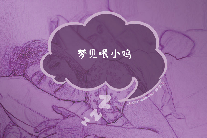 梦见喂小鸡