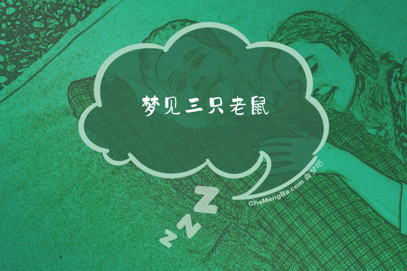 梦见三只老鼠