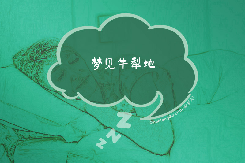 梦见牛犁地