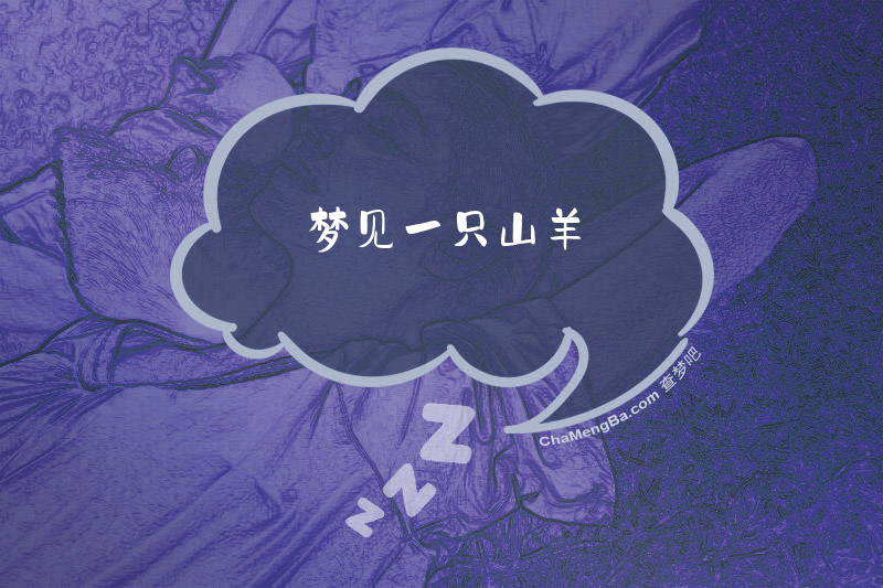 梦见一只山羊