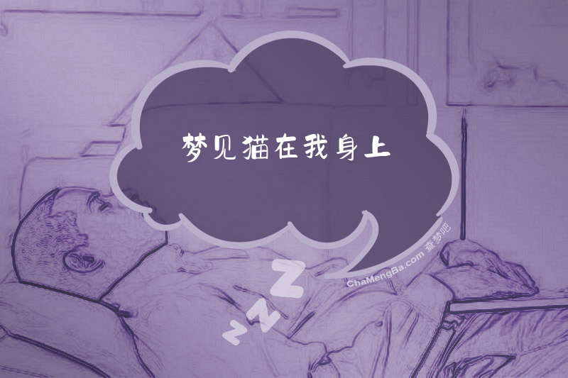 梦见猫在我身上