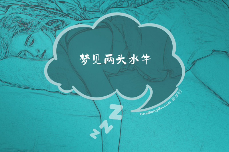 梦见两头水牛