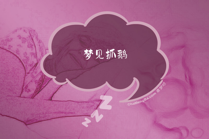 梦见抓鹅
