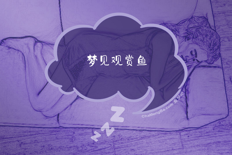 梦见观赏鱼