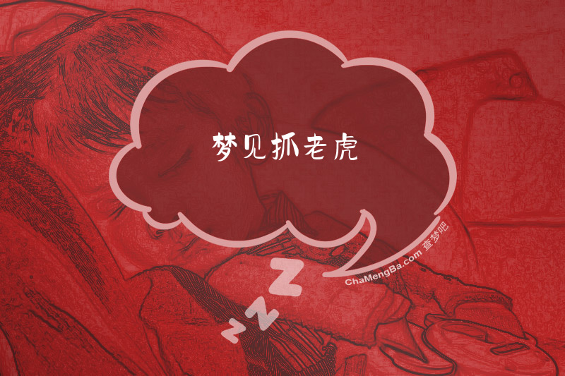 梦见抓老虎