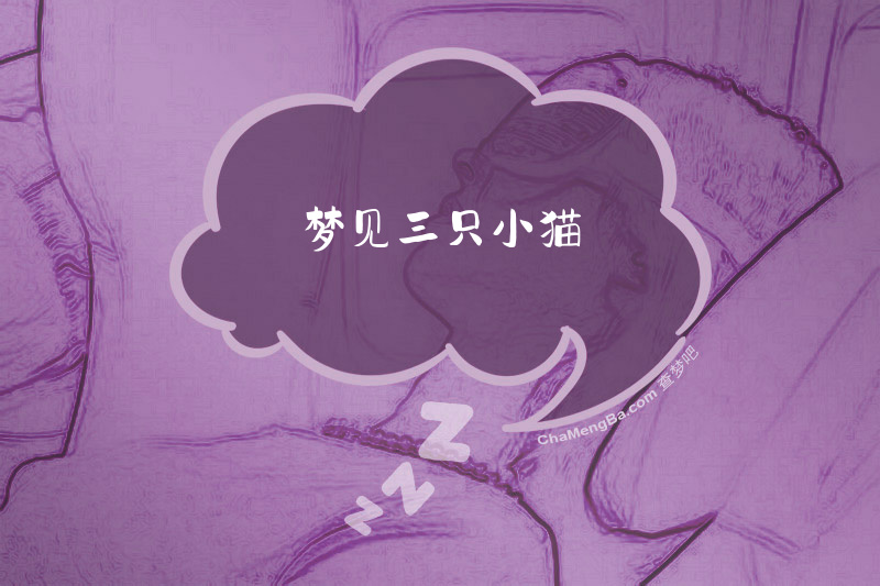 梦见三只小猫