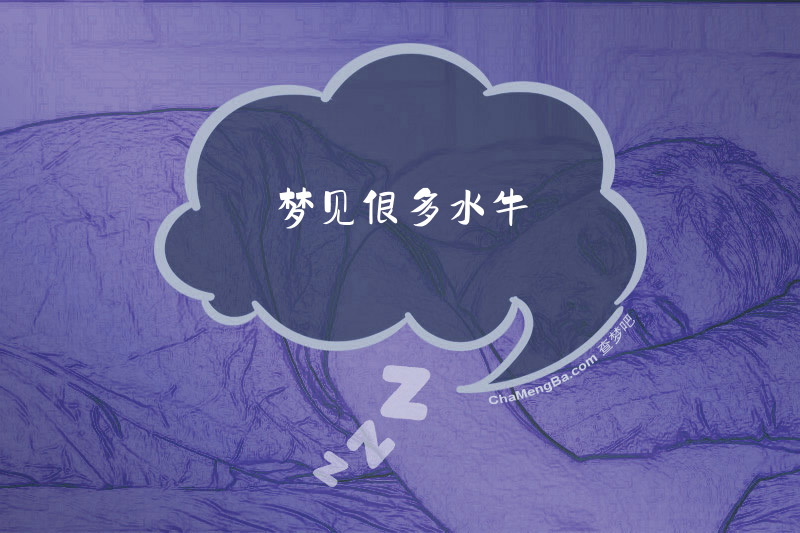 梦见很多水牛