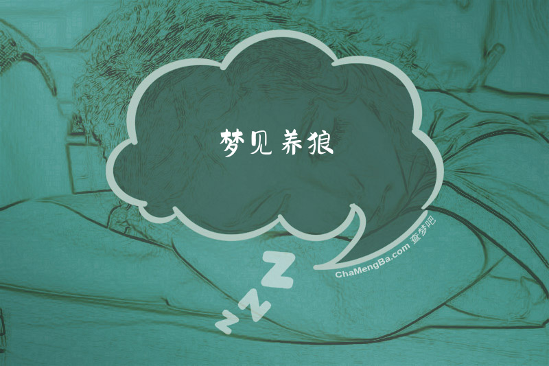梦见养狼