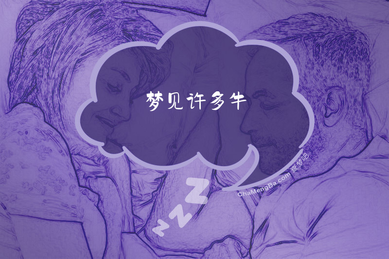 梦见许多牛