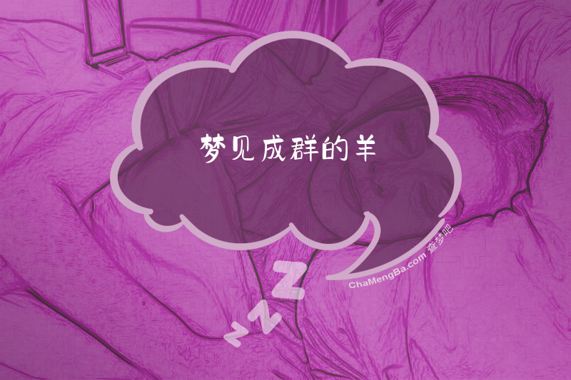 梦见成群的羊