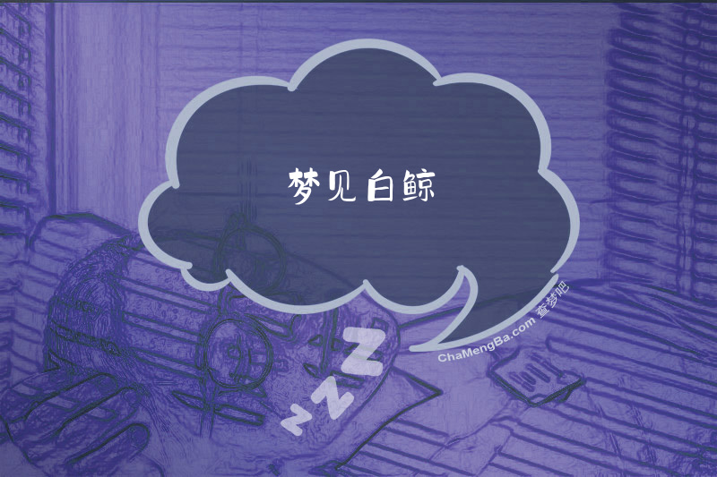 梦见白鲸