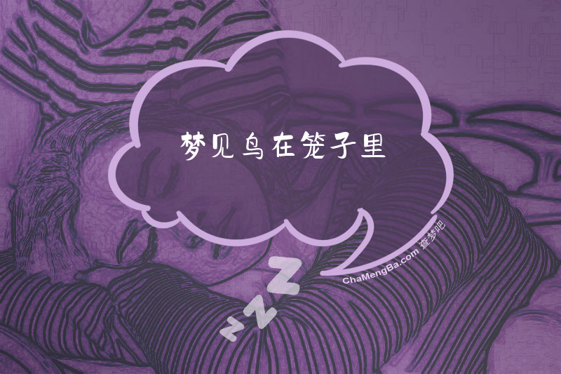 梦见鸟在笼子里