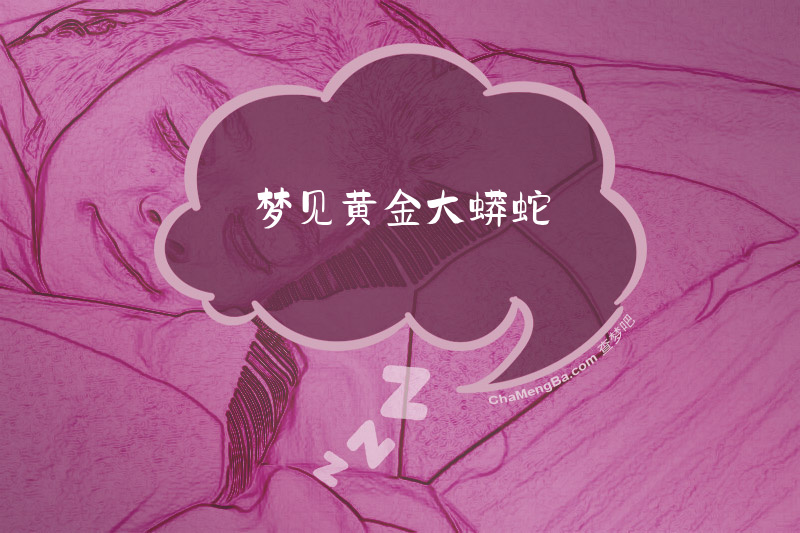 梦见黄金大蟒蛇