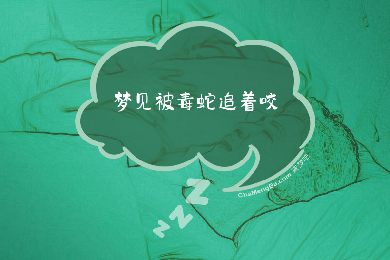 梦见被毒蛇追着咬