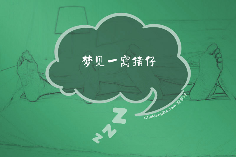 梦见一窝猪仔