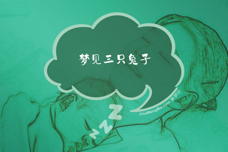 梦见三只兔子