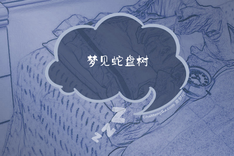 梦见蛇盘树
