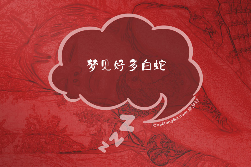 梦见好多白蛇