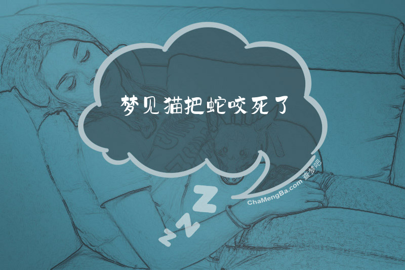 梦见猫把蛇咬死了