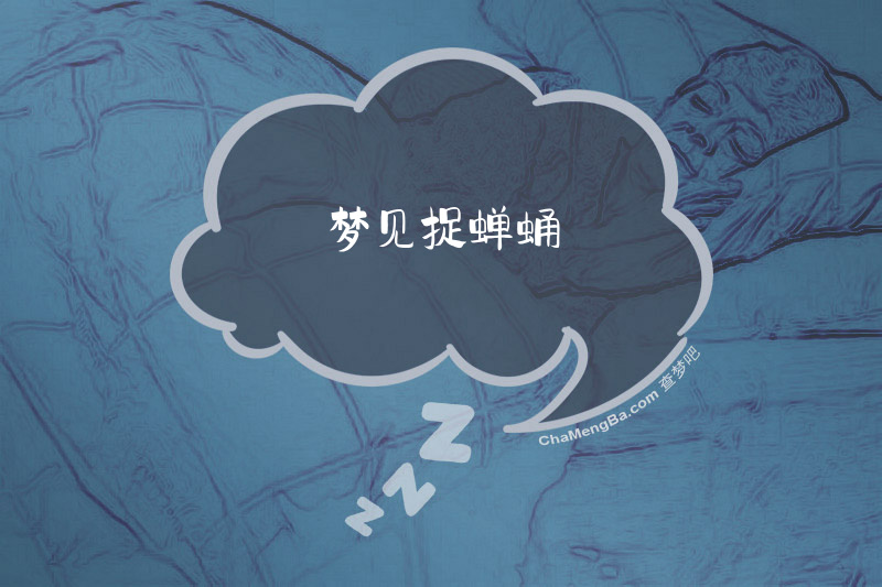 梦见捉蝉蛹