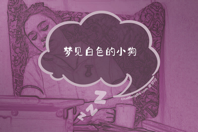梦见白色的小狗