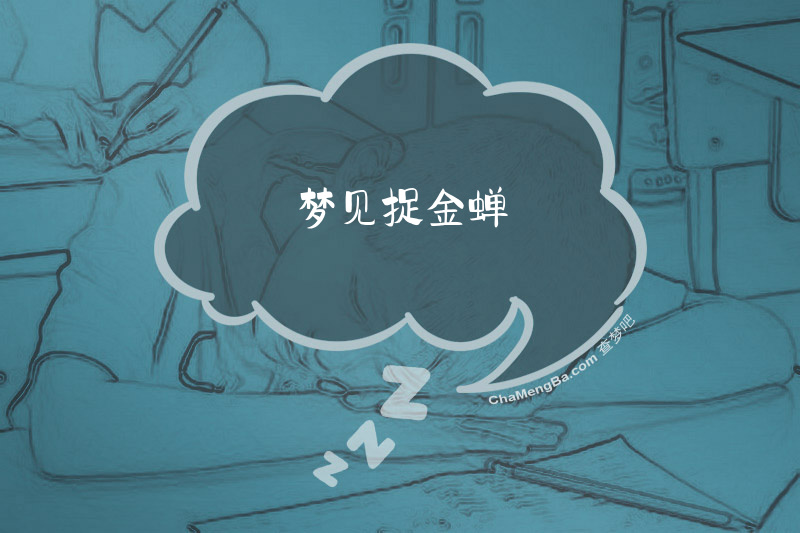 梦见捉金蝉