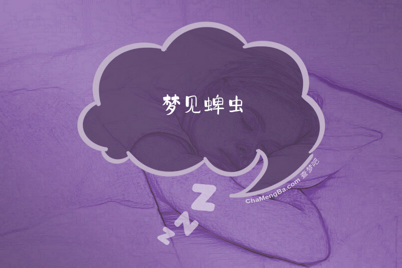 梦见蜱虫