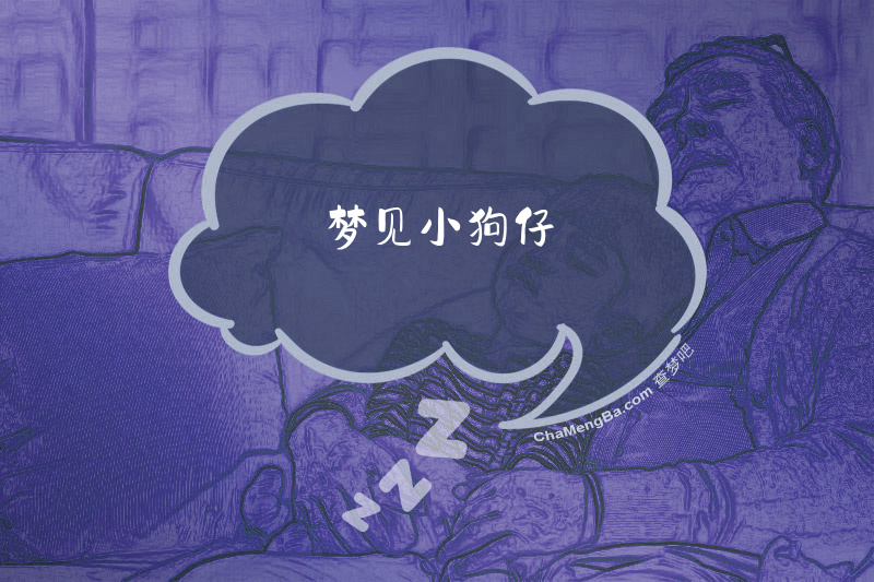 梦见小狗仔