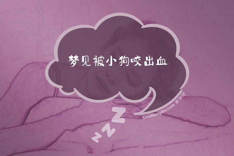 梦见被小狗咬出血