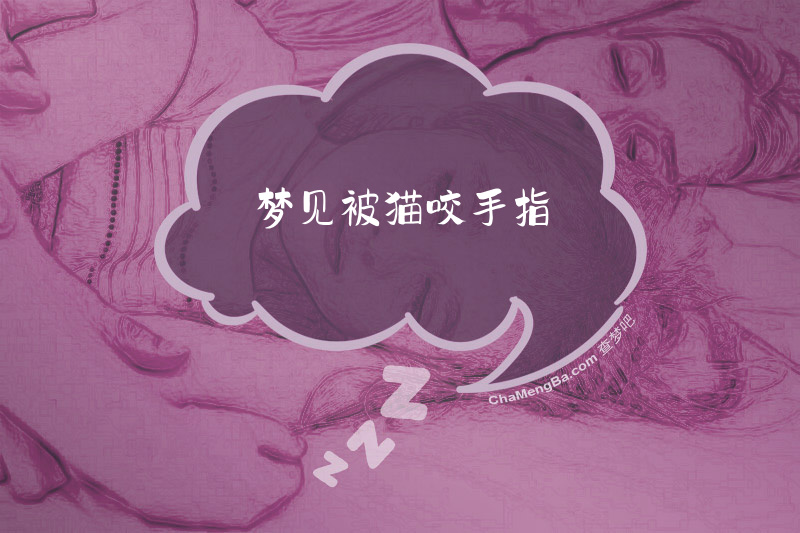 梦见被猫咬手指