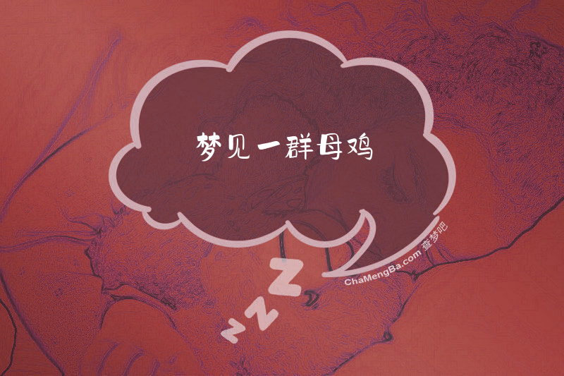 梦见一群母鸡