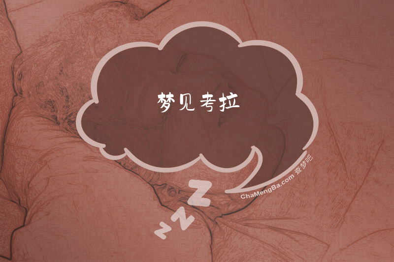 梦见考拉