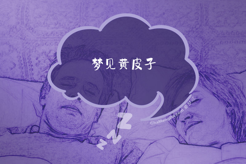 梦见黄皮子