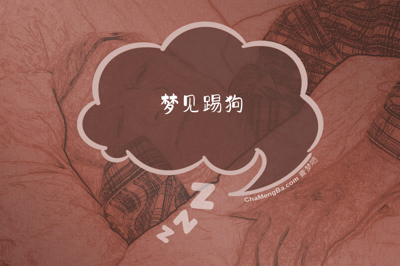 梦见踢狗