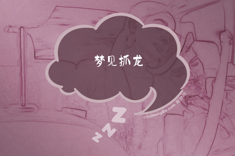 梦见抓龙