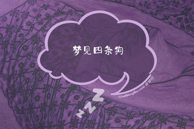 梦见四条狗