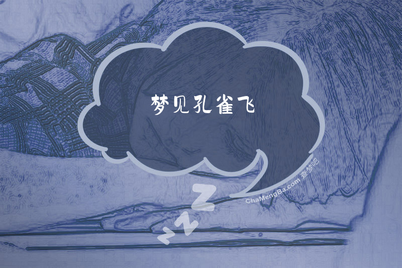 梦见孔雀飞