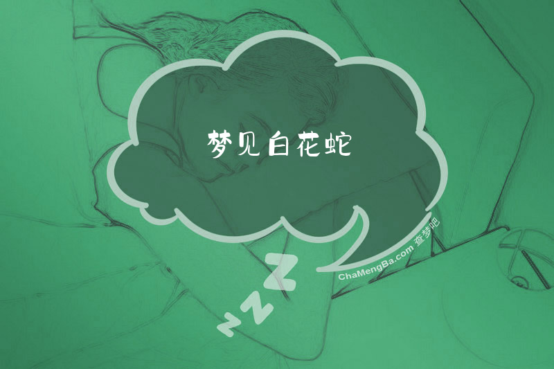 梦见白花蛇