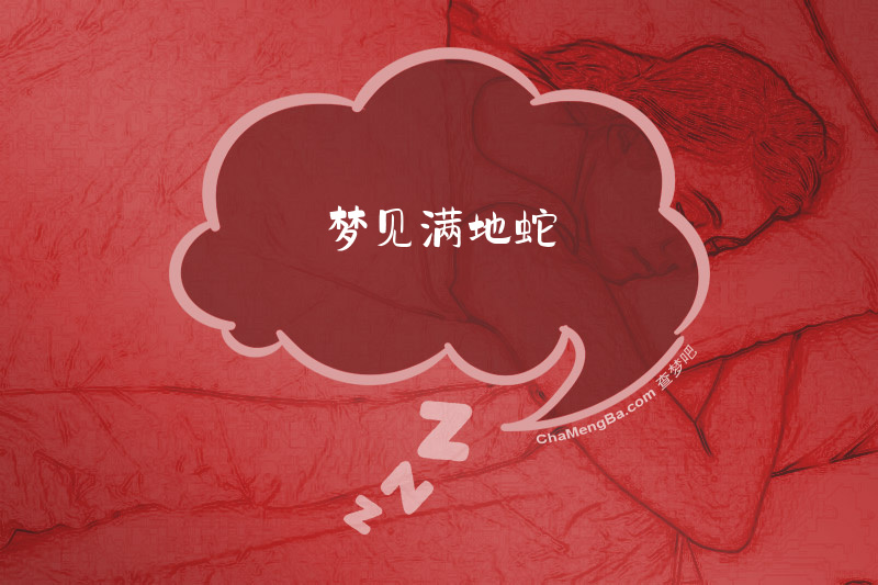 梦见满地蛇