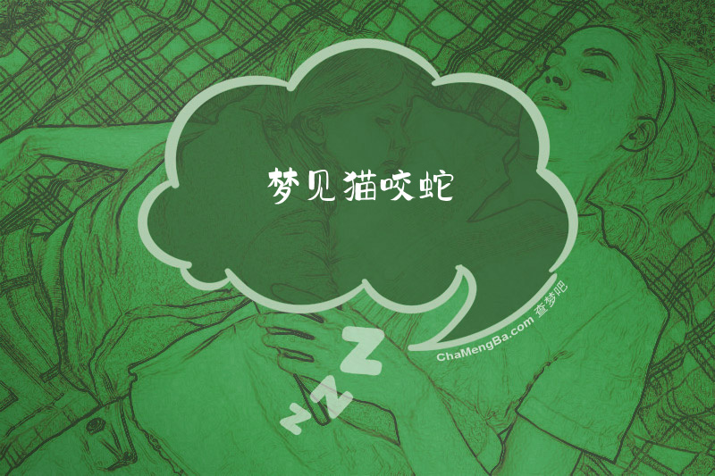 梦见猫咬蛇