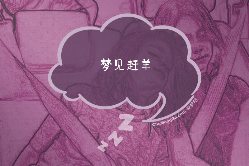 梦见赶羊