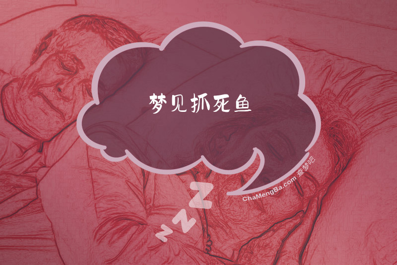 梦见抓死鱼