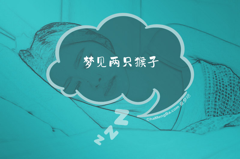 梦见两只猴子