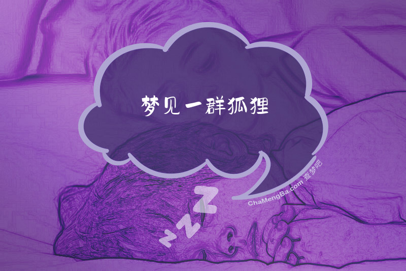 梦见一群狐狸