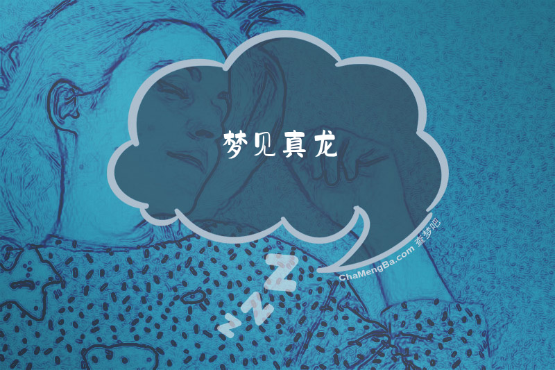 梦见真龙