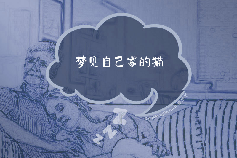 梦见自己家的猫